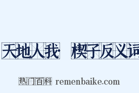天地人我·楔子反义词是什么意思的图片